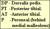 DP - Dorsalis pedis.  
 PT  -Posterior tibial.
 AT  -Anterior tibial.
 P     -Peroneal.(behind
          medial malleolous)